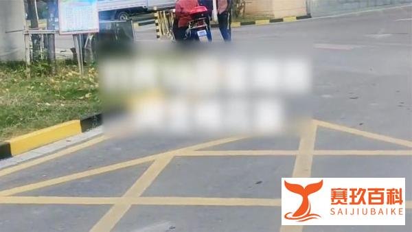 安徽蚌埠一小区幼童姐弟从17楼坠落身亡 事发时家里无人看管