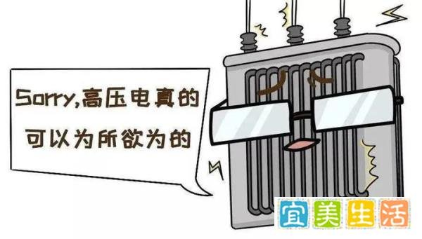 22岁网红触电身亡！母亲起诉供电公司，索赔121万