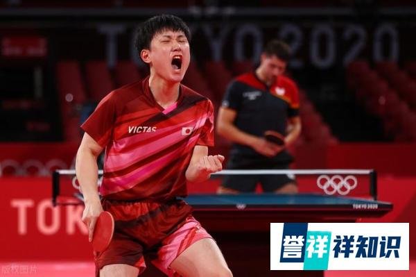张本智和咆哮两胜成空砍，德国男乒3比2击败日本，将与中国队争冠