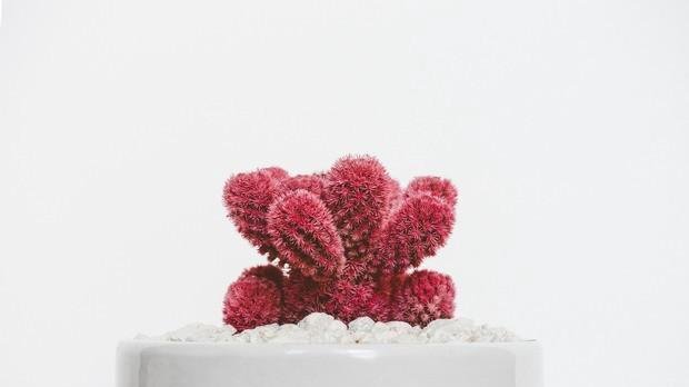 周易命理 本命年有什么说法？