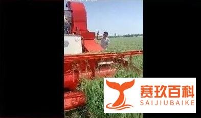 从房地产商损毁麦田，到割青麦作饲料，“中原粮仓”河南又被推上风口