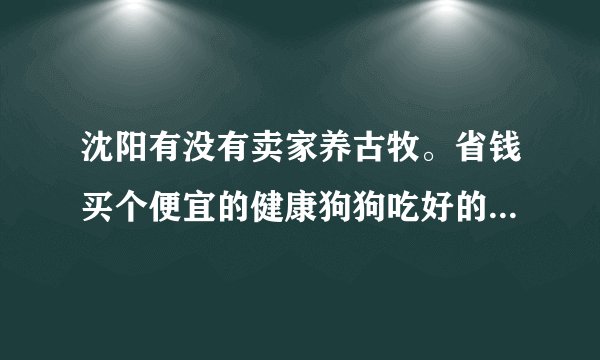 沈阳有没有卖家养古牧。省钱买个便宜的健康狗狗吃好的.狗贩子赶紧爬.留下具体的联系方式。...不要来骗分的