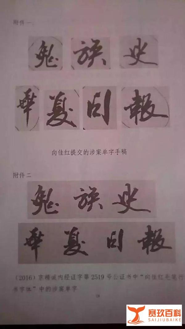 又是字体侵权？电影《九层妖塔》使用7个字，被判赔偿14万！