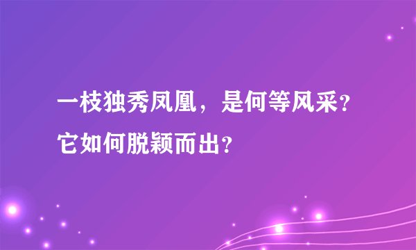 一枝独秀凤凰，是何等风采？它如何脱颖而出？