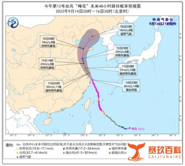台风梅花登陆:狂风大作 暴雨横飞 这是咋情况？