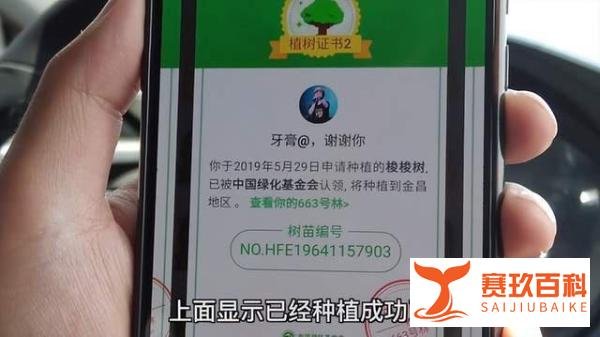 超6亿人参与，马云的蚂蚁森林曾被质疑“造假”，如今怎么样了？