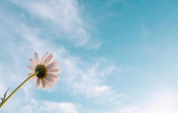 被老板女儿看中后离职：爱情，富贵不能淫