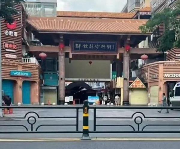 三亚，这座美丽的城市忽然慢了下来，车流稀少，街上白马奔跑