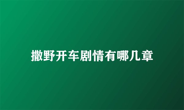 撒野开车剧情有哪几章