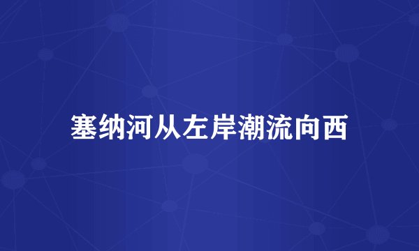 塞纳河从左岸潮流向西