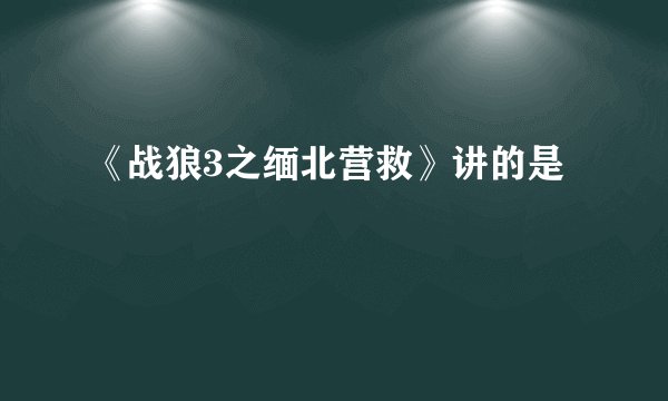 《战狼3之缅北营救》讲的是
