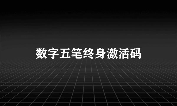 数字五笔终身激活码