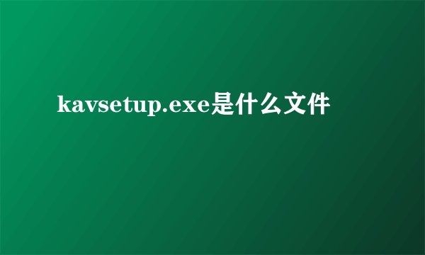 kavsetup.exe是什么文件