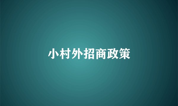 小村外招商政策