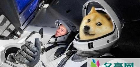 狗狗币未来达到100元真的假的 未来狗狗币会超过比特币吗