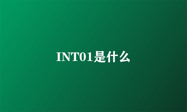 INT01是什么