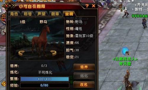 轩辕传奇战马之魂怎么获得和使用