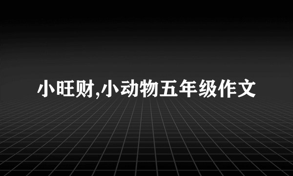 小旺财,小动物五年级作文