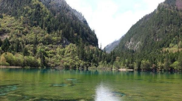 九寨沟国庆遇冷:7天迎客211位 说好的4亿出行人次去哪了?