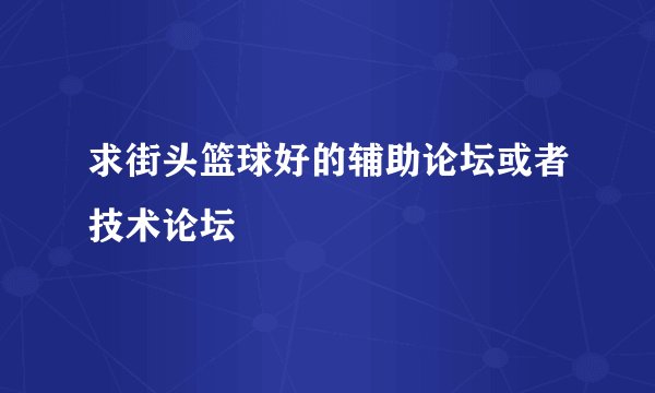 求街头篮球好的辅助论坛或者技术论坛
