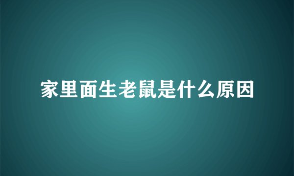家里面生老鼠是什么原因
