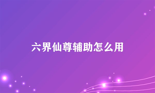 六界仙尊辅助怎么用