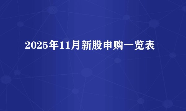 2025年11月新股申购一览表