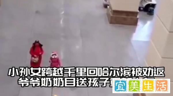 小孙女跨越千里回哈尔滨被劝返 这是咋情况？