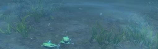 魔兽世界世界任务产品订单诅咒女王鱼怎么做