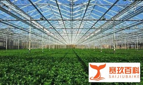 生态农业产业园规划方案