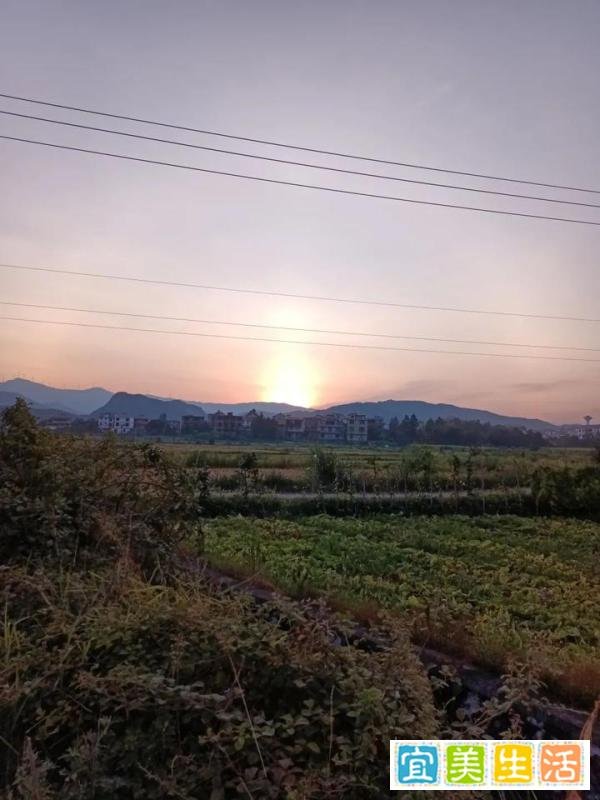 选我所爱，爱我所选