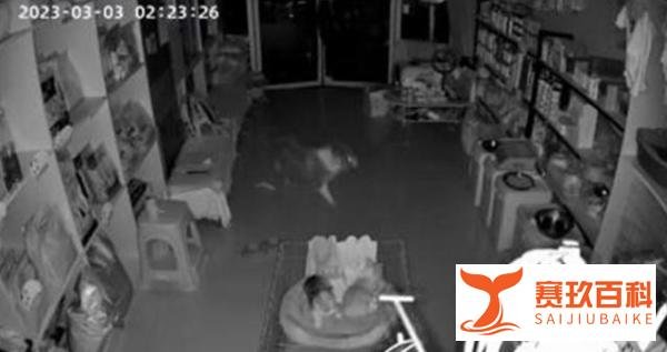 安徽亳州多地市民凌晨听到巨响