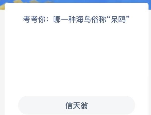 神奇海洋考考你哪—种海鸟俗称呆鸥