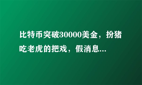比特币突破30000美金，扮猪吃老虎的把戏，假消息真上涨？