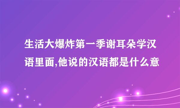 生活大爆炸第一季谢耳朵学汉语里面,他说的汉语都是什么意