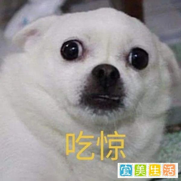 女子超市5次漏扫获利200元被判刑？冤不冤？