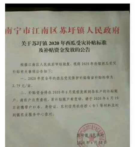 南宁一镇政府补贴受灾瓜农，每亩补贴2.79元！