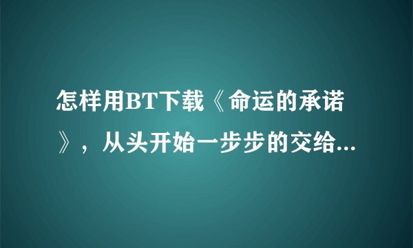 怎样用BT下载《命运的承诺》，从头开始一步步的交给我好吗?就当我?