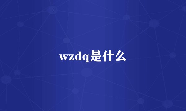 wzdq是什么