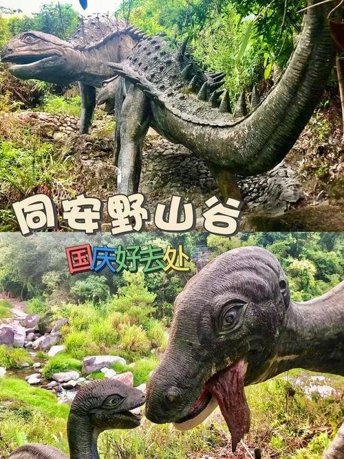 厦门野山谷开放了吗，厦门野山谷开放了吗现在