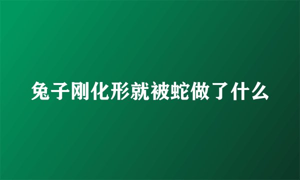 兔子刚化形就被蛇做了什么
