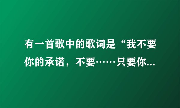 有一首歌中的歌词是“我不要你的承诺，不要……只要你真真切切爱我一点”这首歌名字叫什么