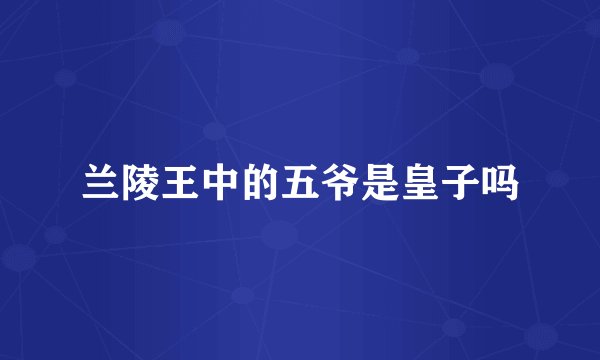 兰陵王中的五爷是皇子吗