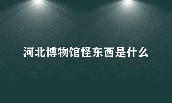河北博物馆怪东西是什么
