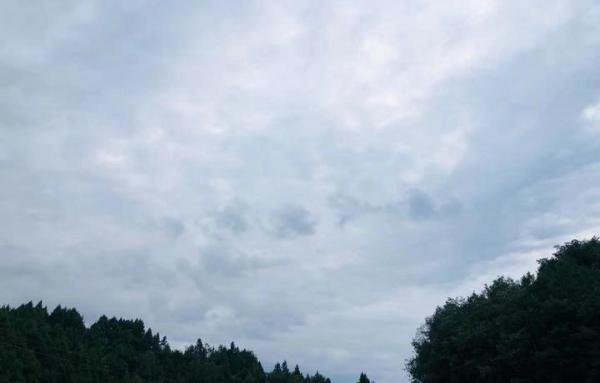 百事可乐扬言买断员工工龄及裁员，巨头也扛不住了？