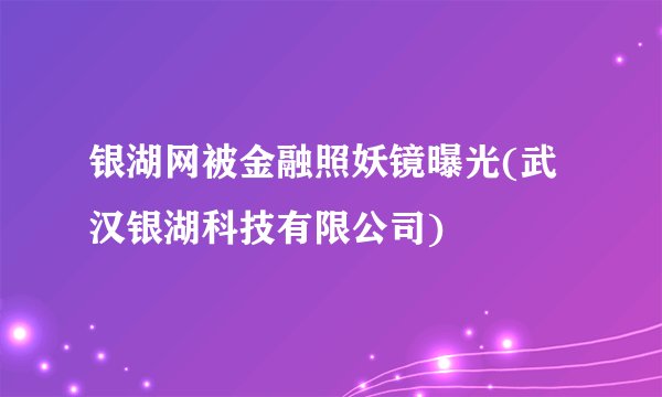 银湖网被金融照妖镜曝光(武汉银湖科技有限公司)