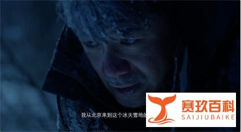 段奕宏、大鹏悬疑新剧《双探》即将上映，坐等屌丝男士逆袭