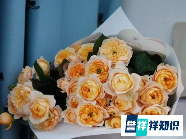 《天道》“命运多舛，痴迷淡然”是什么意思？