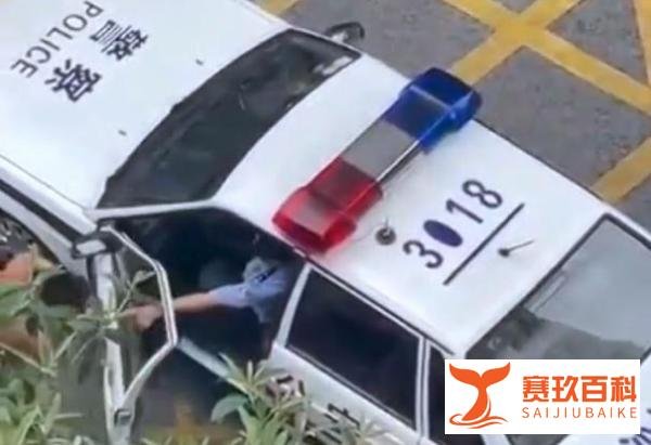 悲剧！父母出门做核酸重庆一3岁男童坠楼，更多细节曝光