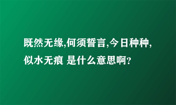 既然无缘,何须誓言,今日种种,似水无痕 是什么意思啊？